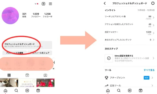 インスタグラムのインサイトで確認できるのは？