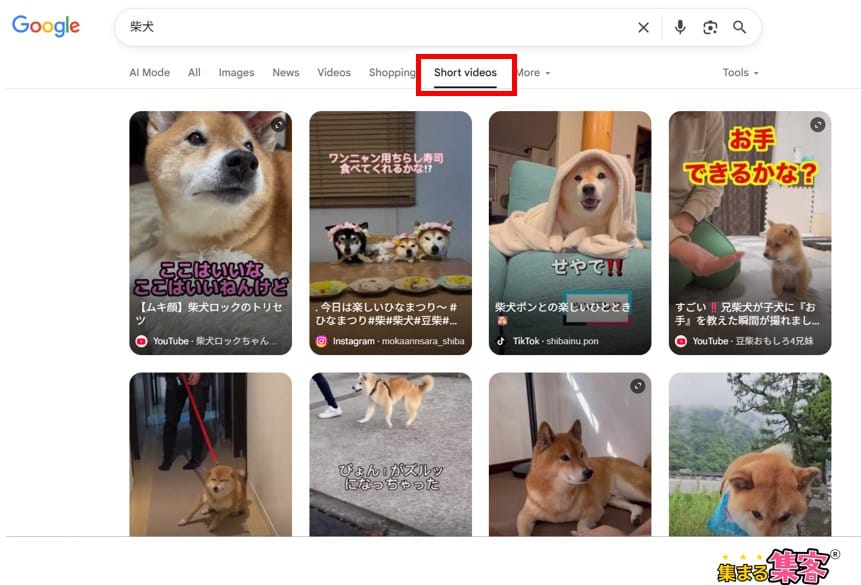 GoogleのShort Videosタブ